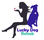 Lucky Dog Rahab